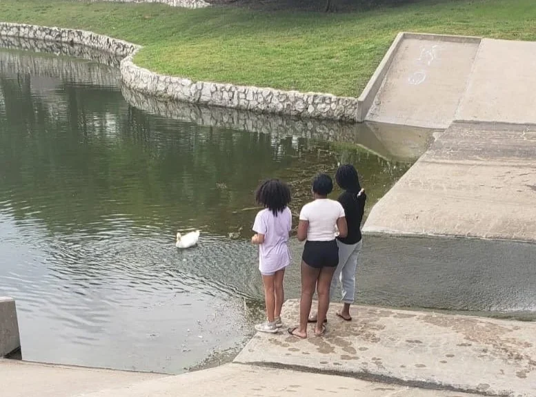 Three girls stand at the edge of a park lake watching a duck